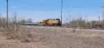 UP 7955